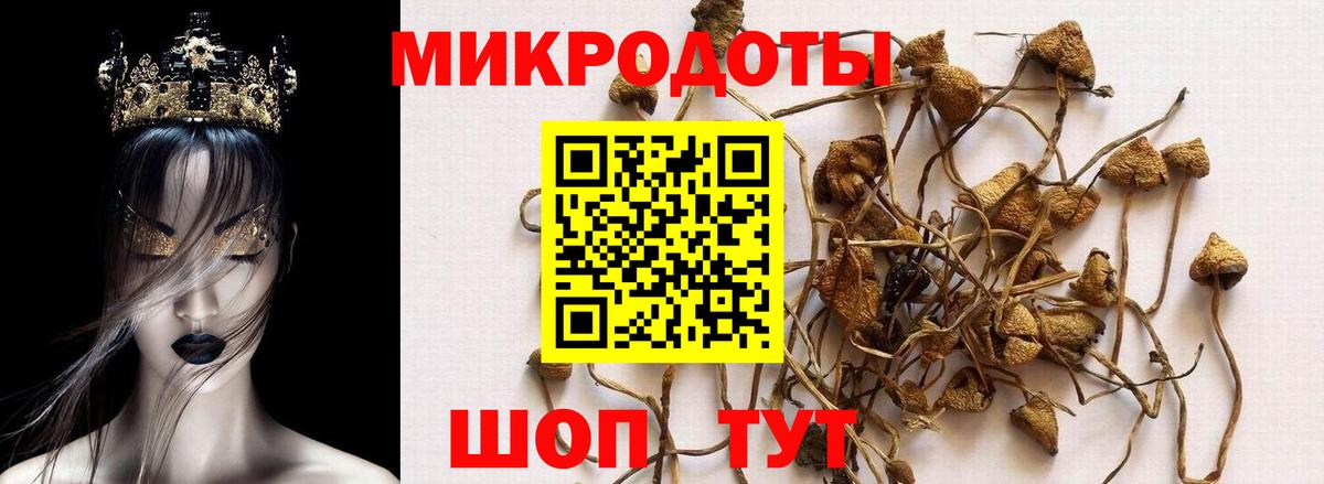 Анапа  Галлюциногенные грибы мухоморы  продажа наркотиков  Вход с VPN 